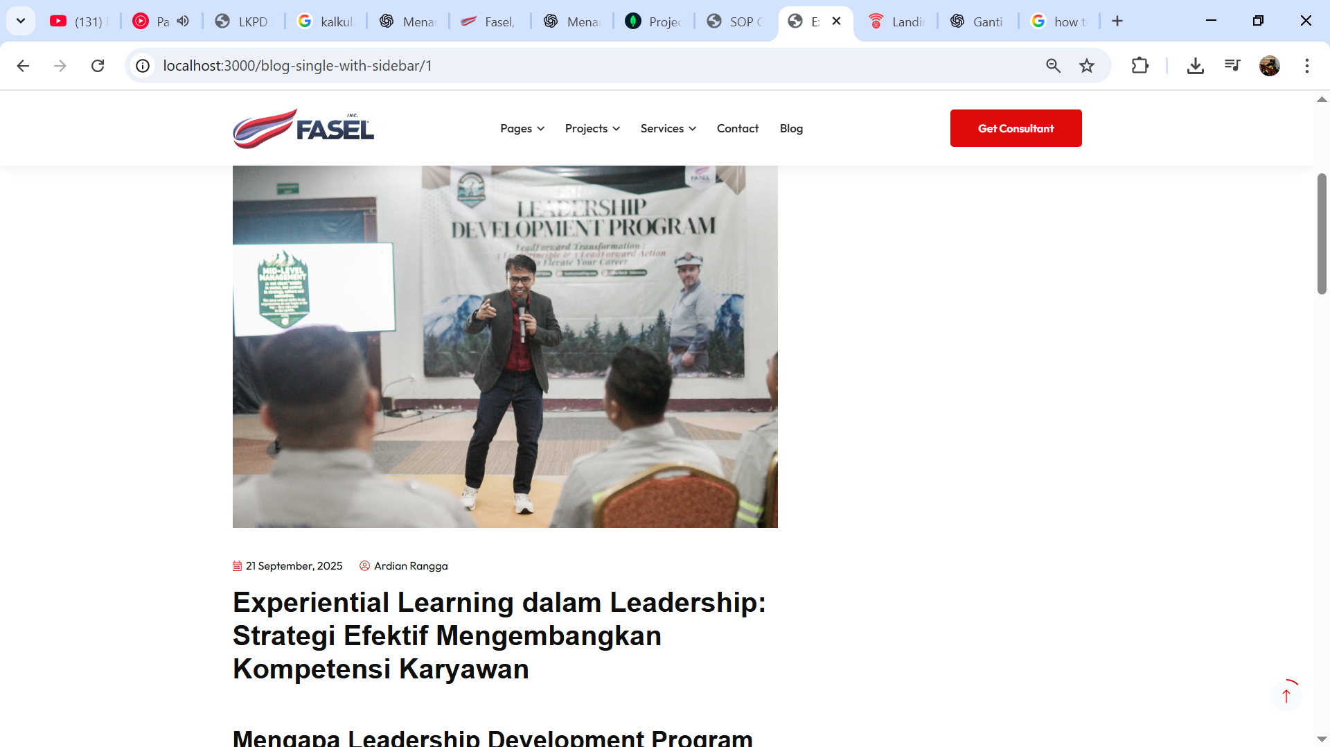Fasel Consulting landing page